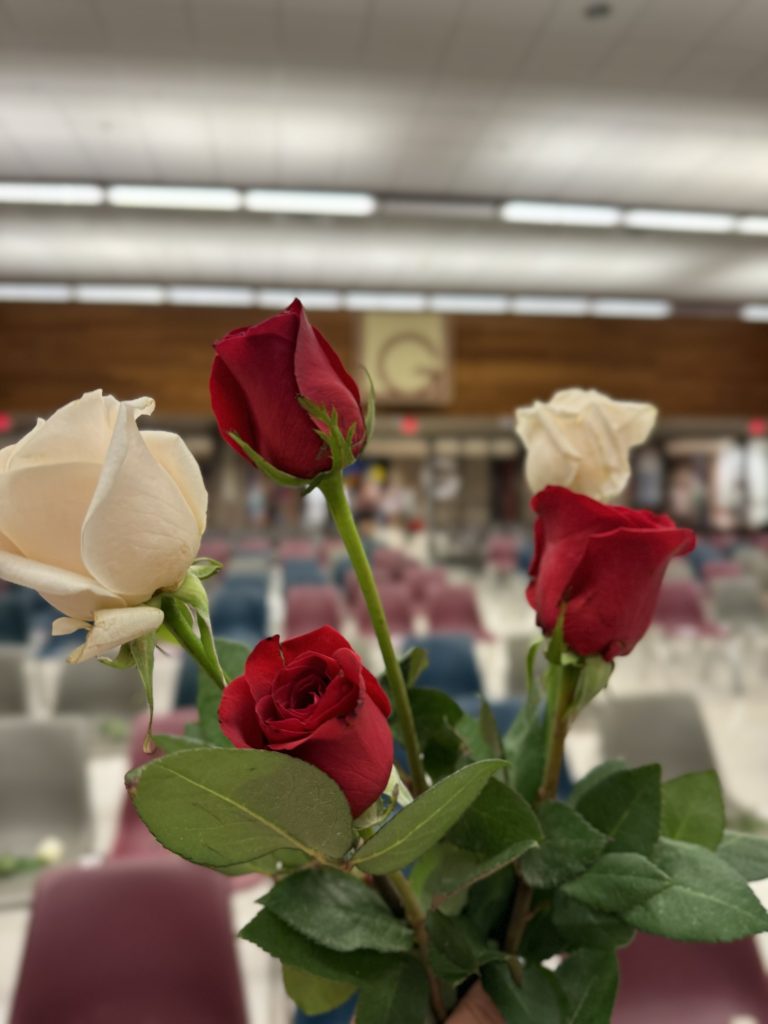 Three red roses in a vase, placed on a table in a room with chairs and benches.